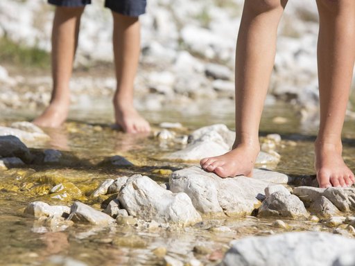 Milli’s Das Mühlwald Milli’s Das Mühlwald