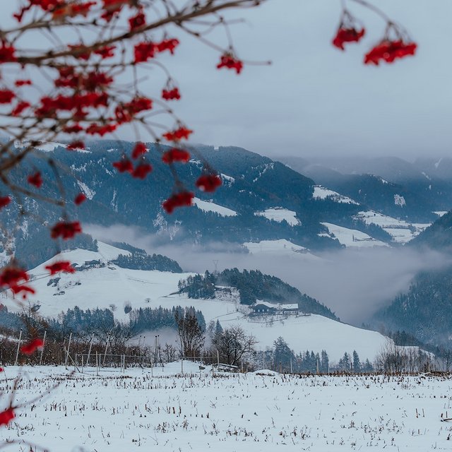 La vostra vacanza a Naz-Sciaves: Hotel Das Mühlwald La vostra vacanza a Naz-Sciaves: Hotel Das Mühlwald