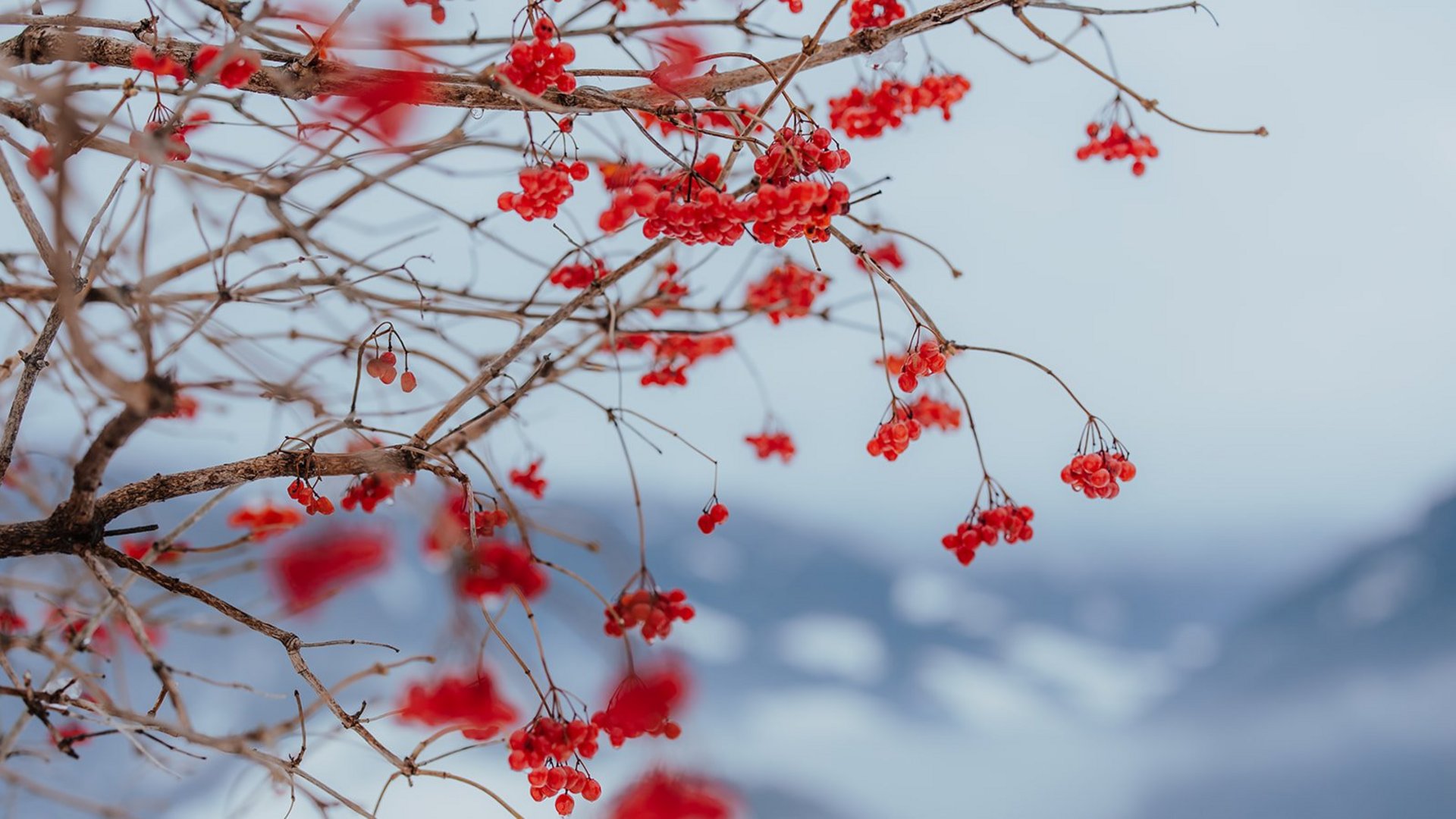 La vostra vacanza a Naz-Sciaves: Hotel Das Mühlwald La vostra vacanza a Naz-Sciaves: Hotel Das Mühlwald
