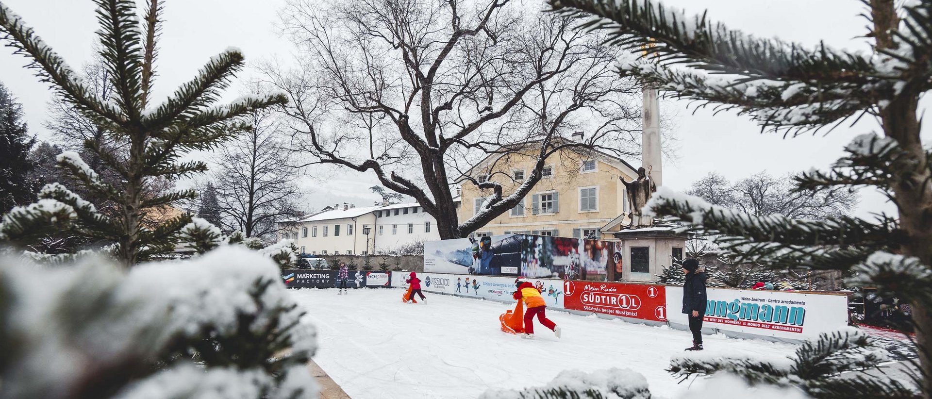 Alle Informationen über Das Mühlwald auf einer Seite Alle Informationen über Das Mühlwald auf einer Seite