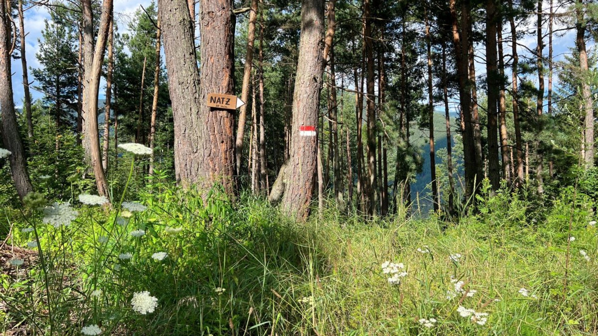 Ihre Unterkunft in Natz-Schabs: Das Mühlwald Ihre Unterkunft in Natz-Schabs: Das Mühlwald
