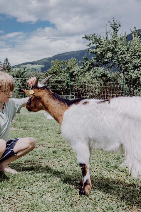 Glücksmomente im Das Mühlwald Glücksmomente im Das Mühlwald