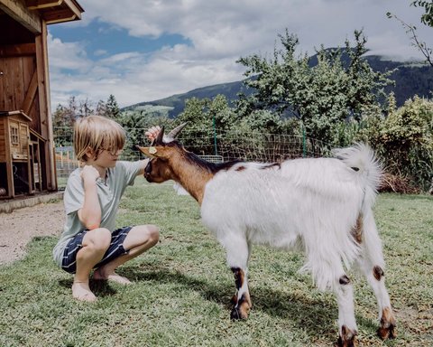 Glücksmomente im Das Mühlwald Glücksmomente im Das Mühlwald
