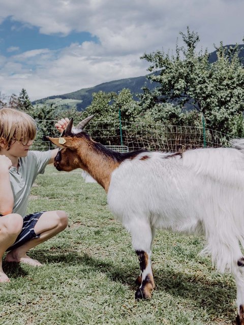 Scatti di felicità all’Hotel Das Mühlwald Scatti di felicità all’Hotel Das Mühlwald