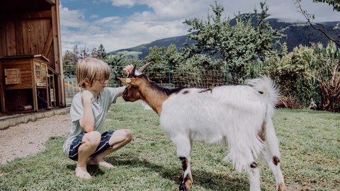 Scatti di felicità all’Hotel Das Mühlwald Scatti di felicità all’Hotel Das Mühlwald