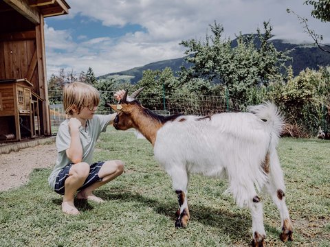 Glücksmomente im Das Mühlwald Glücksmomente im Das Mühlwald