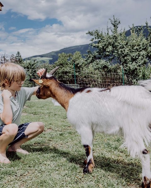Scatti di felicità all’Hotel Das Mühlwald Scatti di felicità all’Hotel Das Mühlwald