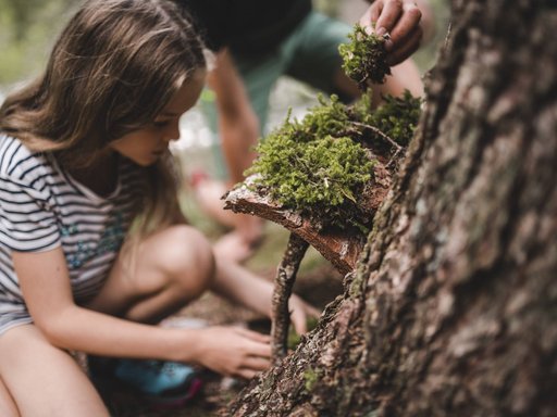 Millis Das Mühlwald Millis Das Mühlwald