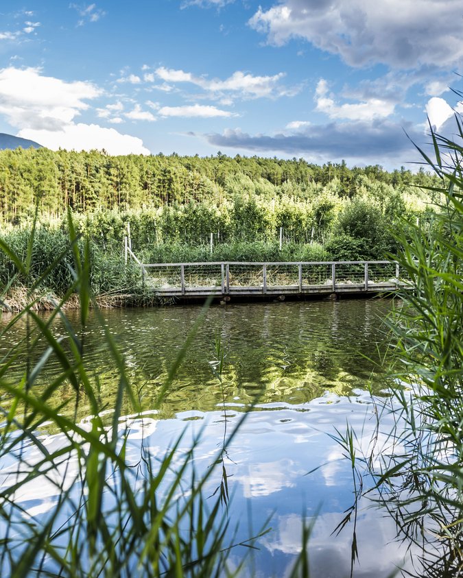 Bikehotel bei Brixen: Das Mühlwald Bikehotel bei Brixen: Das Mühlwald