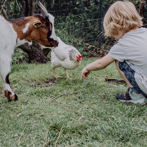 Milli, Das Mühlwald-Maskottchen Milli, Das Mühlwald-Maskottchen