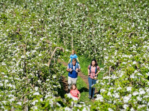 Millis Das Mühlwald Millis Das Mühlwald