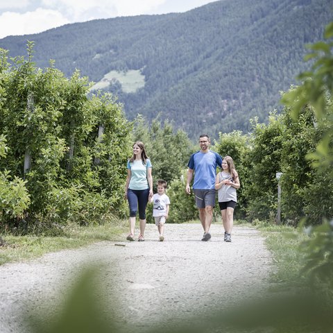 Glücksmomente im Das Mühlwald Glücksmomente im Das Mühlwald