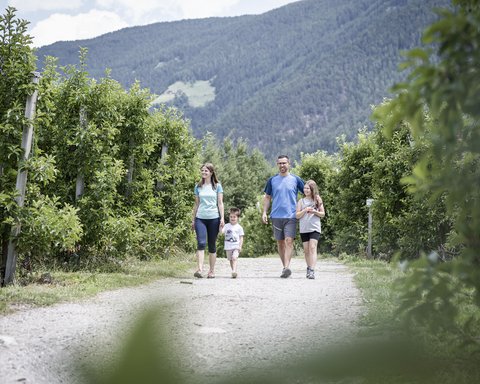 Glücksmomente im Das Mühlwald Glücksmomente im Das Mühlwald