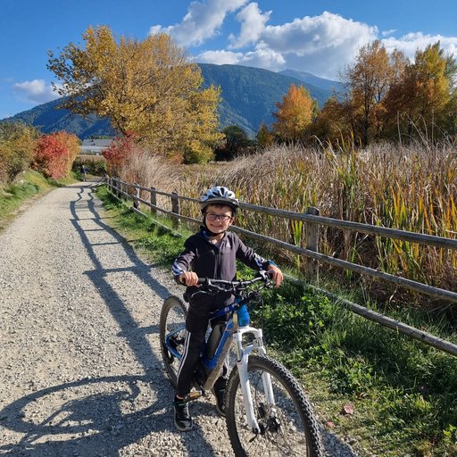 Milli, Das Mühlwald-Maskottchen Milli, Das Mühlwald-Maskottchen
