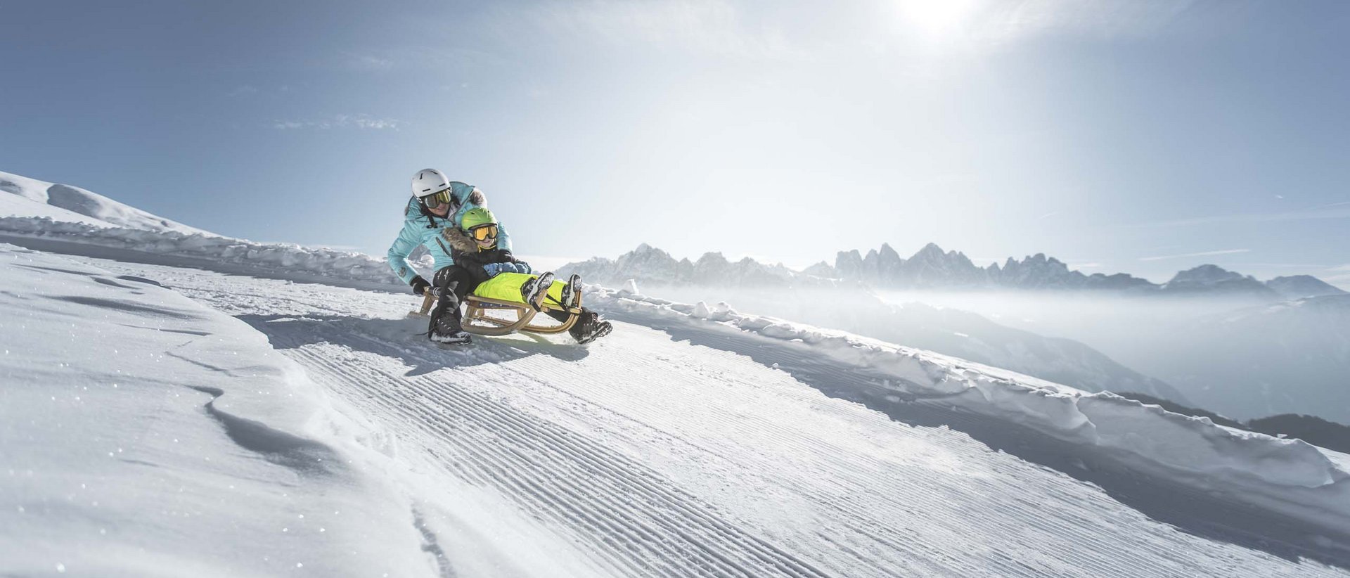 Alle Informationen über Das Mühlwald auf einer Seite Alle Informationen über Das Mühlwald auf einer Seite
