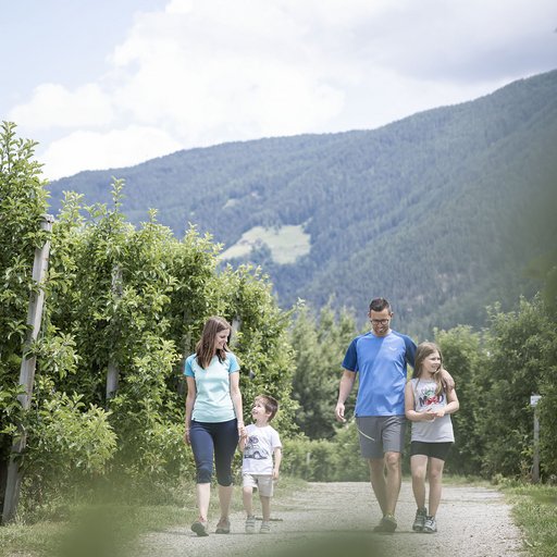 Das Mühlwald, il vostro family hotel vicino a Bressanone Das Mühlwald, il vostro family hotel vicino a Bressanone