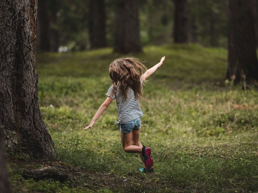 Millis Das Mühlwald Millis Das Mühlwald