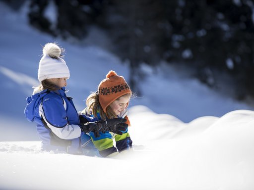 Milli’s Das Mühlwald Milli’s Das Mühlwald