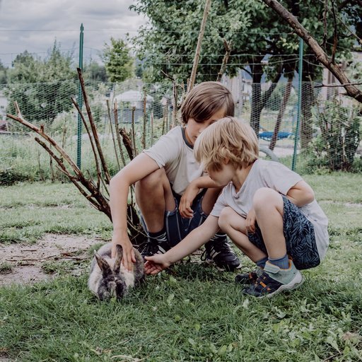Milli, Das Mühlwald-Maskottchen Milli, Das Mühlwald-Maskottchen