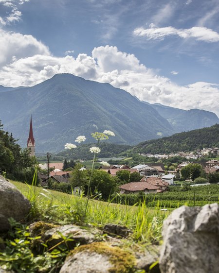 L’hotel a Naz-Sciaves per vacanze in famiglia: l’Hotel Das Mühlwald L’hotel a Naz-Sciaves per vacanze in famiglia: l’Hotel Das Mühlwald