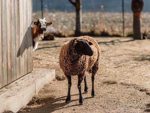 Glücksmomente im Das Mühlwald Glücksmomente im Das Mühlwald