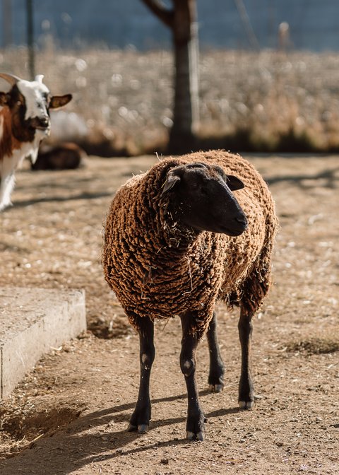 Glücksmomente im Das Mühlwald Glücksmomente im Das Mühlwald