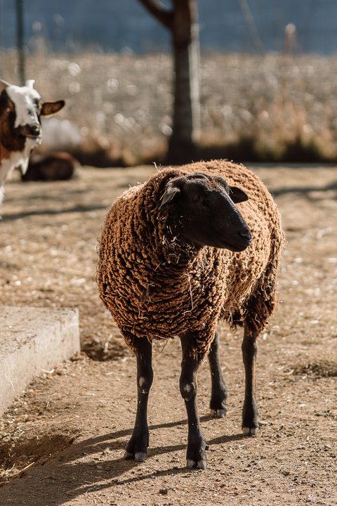 Glücksmomente im Das Mühlwald Glücksmomente im Das Mühlwald