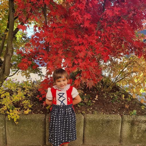 Milli, Das Mühlwald-Maskottchen Milli, Das Mühlwald-Maskottchen