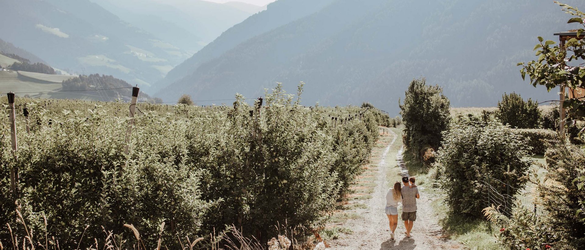 Tutte le informazioni sull’Hotel Das Mühlwald Tutte le informazioni sull’Hotel Das Mühlwald