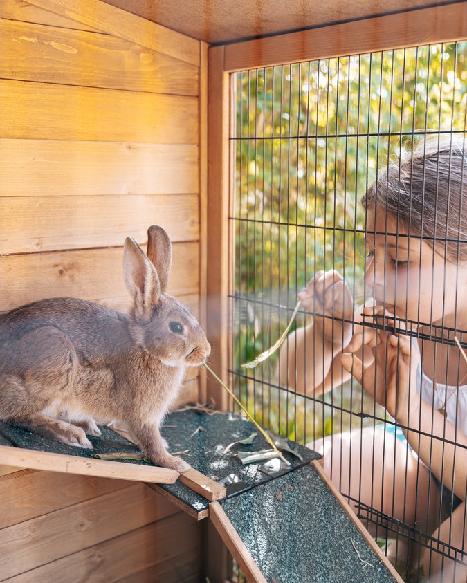 Un family hotel con animali Un family hotel con animali