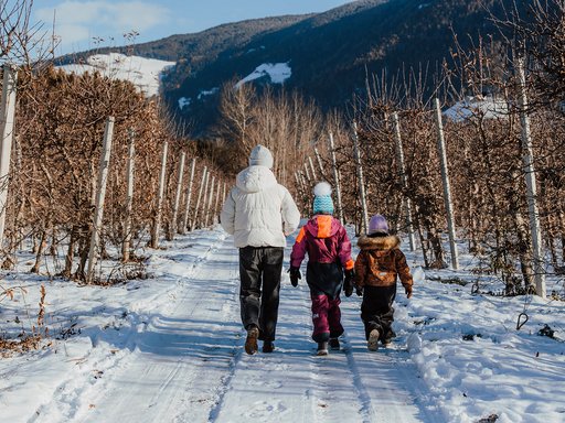 Your hotel near Brixen Your hotel near Brixen