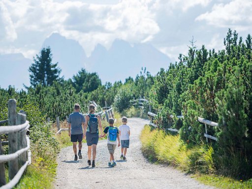 Millis Das Mühlwald Millis Das Mühlwald