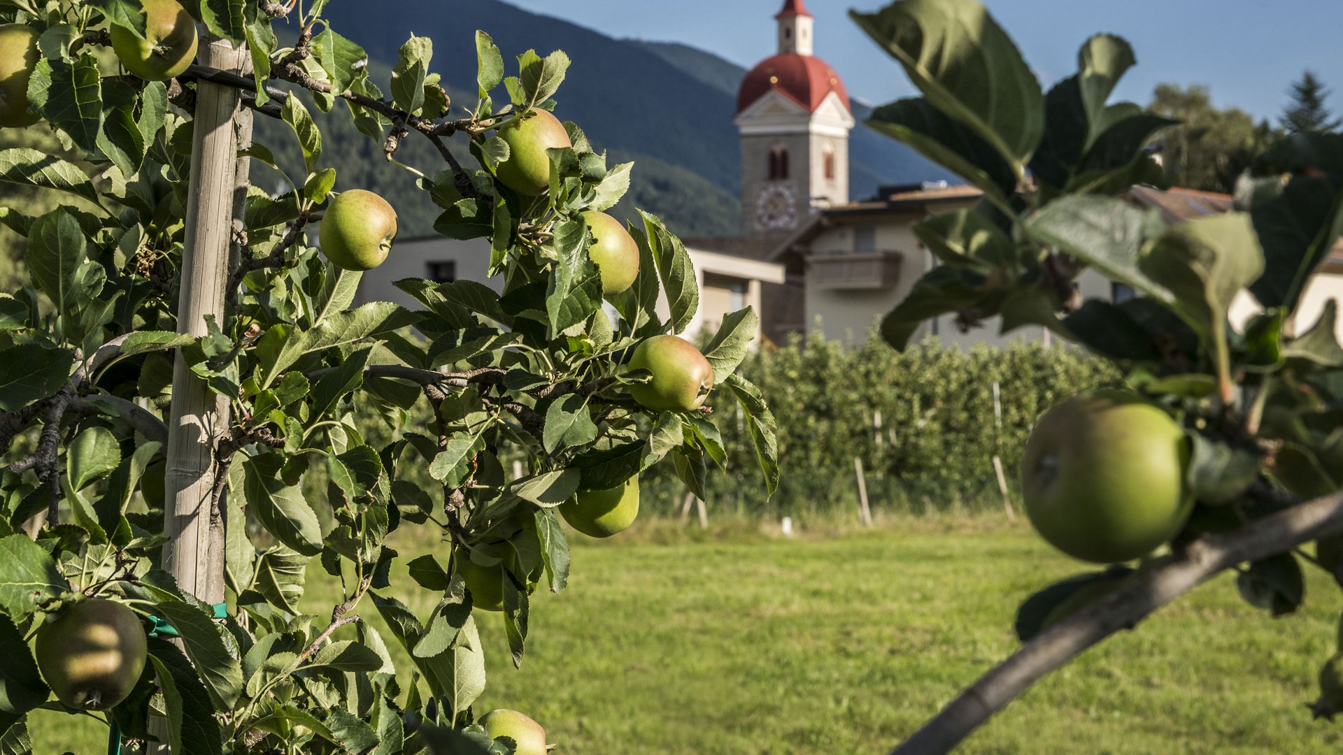 Bike hotel near Brixen: Das Mühlwald Bike hotel near Brixen: Das Mühlwald