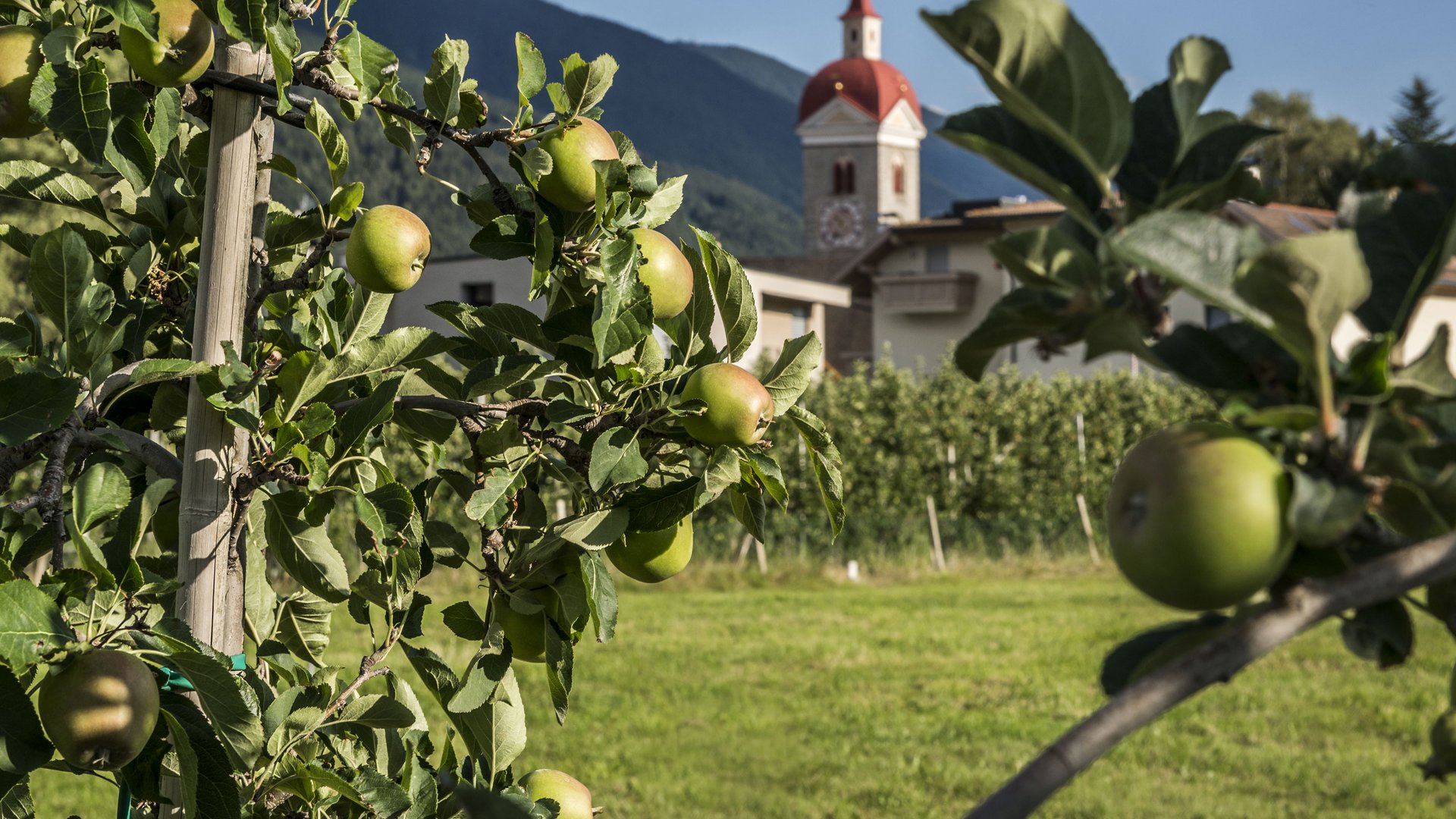 Bikehotel bei Brixen: Das Mühlwald Bikehotel bei Brixen: Das Mühlwald