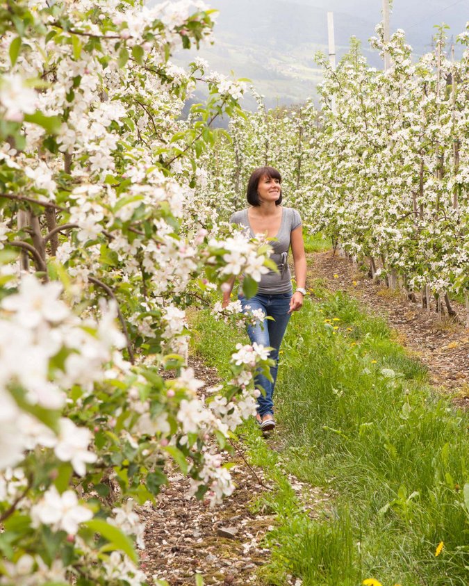 Il vostro family hotel in Alto Adige Il vostro family hotel in Alto Adige