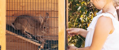 Scatti di felicità all’Hotel Das Mühlwald Scatti di felicità all’Hotel Das Mühlwald