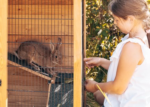 Scatti di felicità all’Hotel Das Mühlwald Scatti di felicità all’Hotel Das Mühlwald
