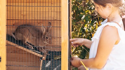 Glücksmomente im Das Mühlwald Glücksmomente im Das Mühlwald